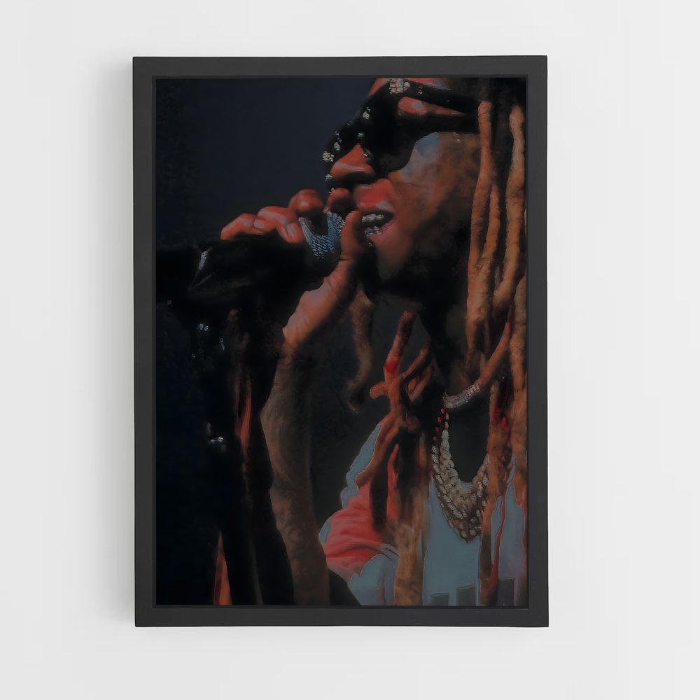 ap-lil wayne-6 cadre Noir