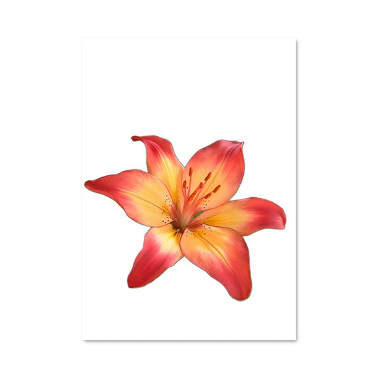 Poster Lily 96627
