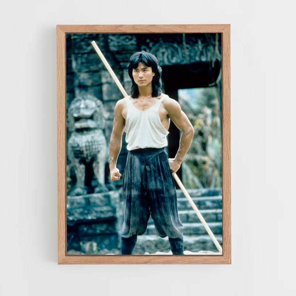 ap-liu kang-6 cadre Bois clair