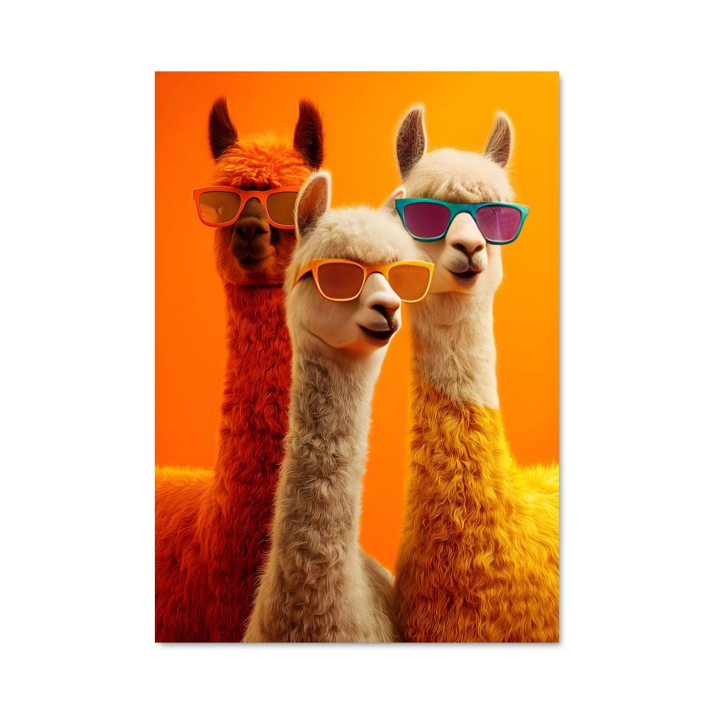 Poster Llamazing Shades