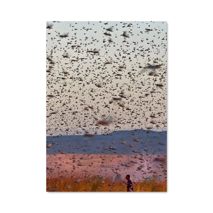 Poster Locust 83931