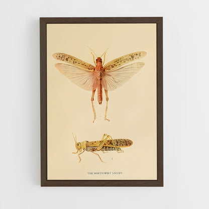 ap-locust-3 cadre Bois foncé
