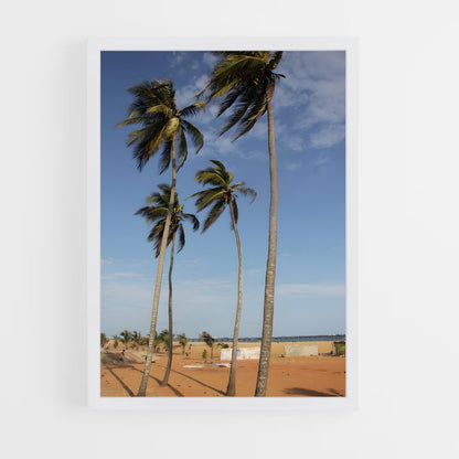ap-lome-3 cadre Blanc