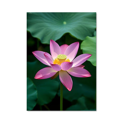 Poster Lotus Éternel