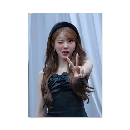 Poster Luda 49982