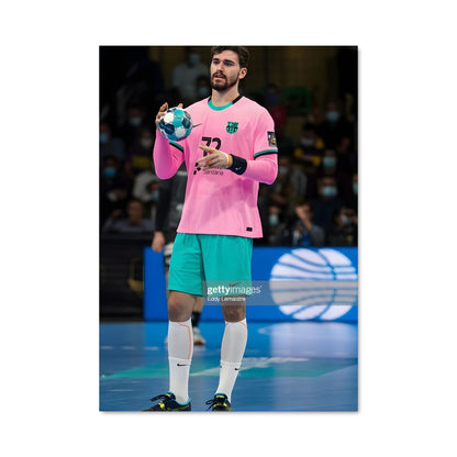Poster Ludovic fabregas 73881