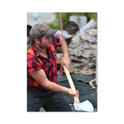 Poster Batteur de la Forêt