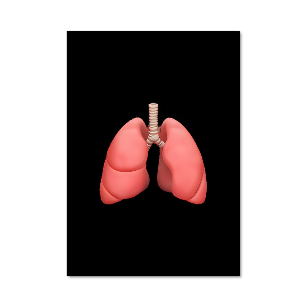 Poster Respiration Magnifique