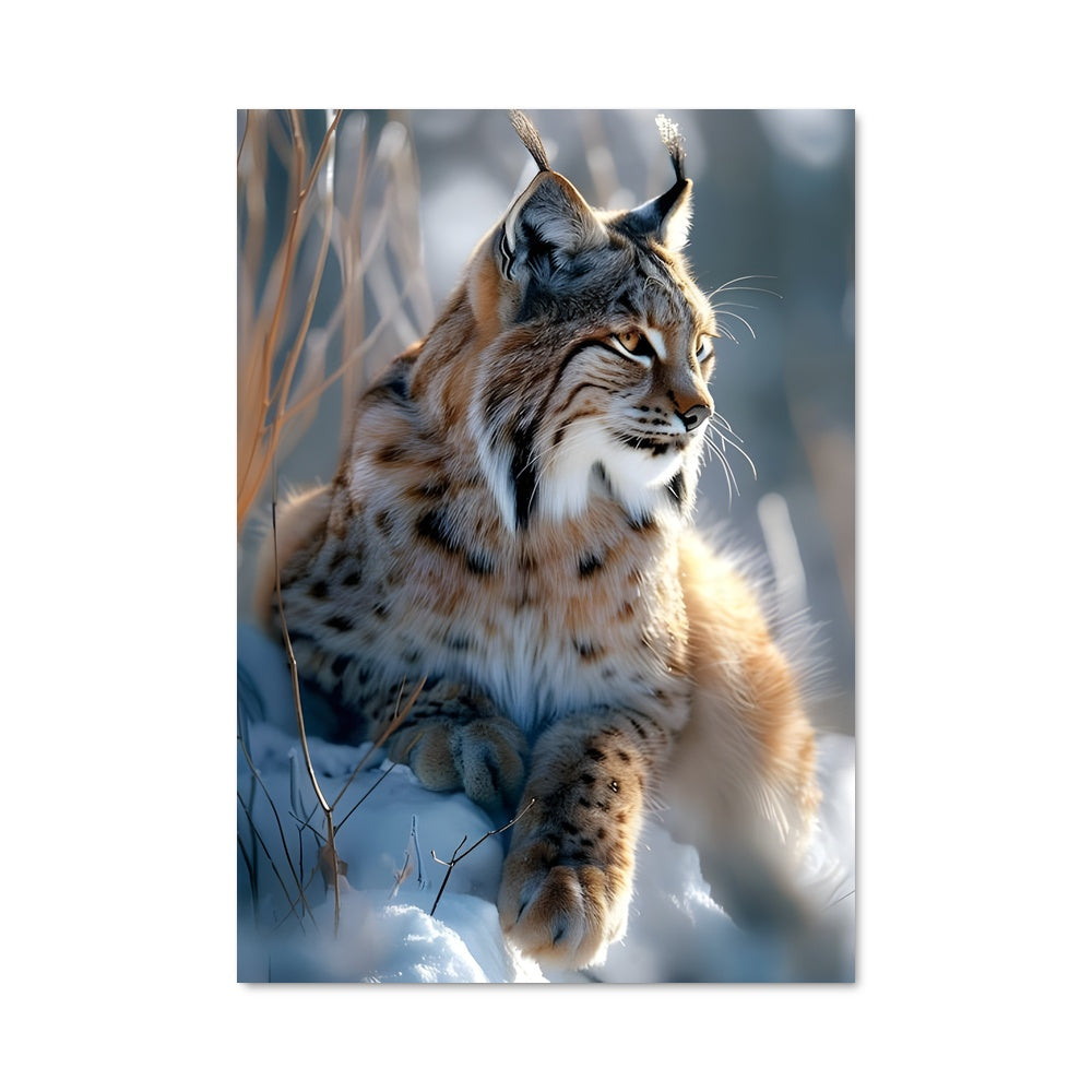 Poster Lynx des Neiges