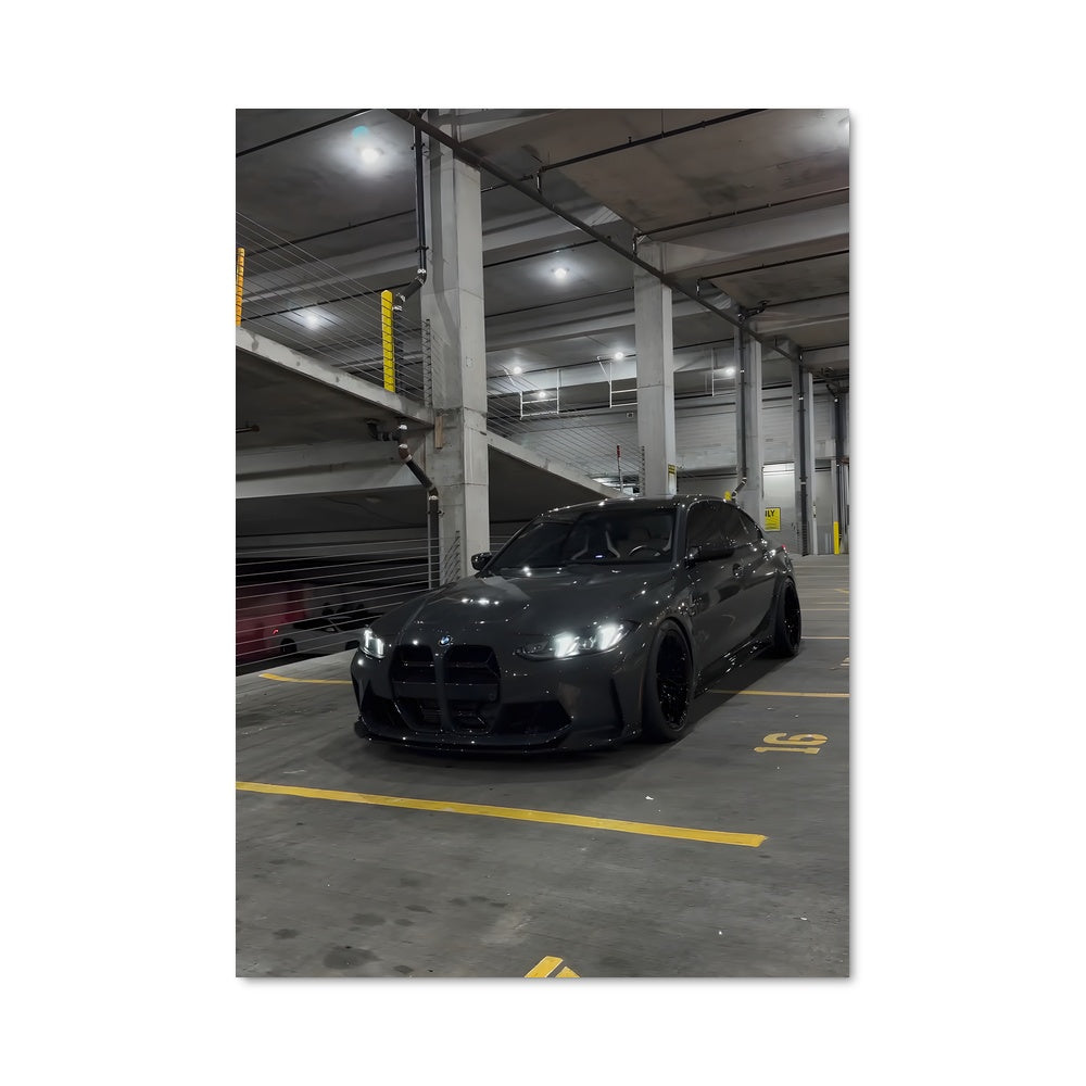Poster Black Stallion