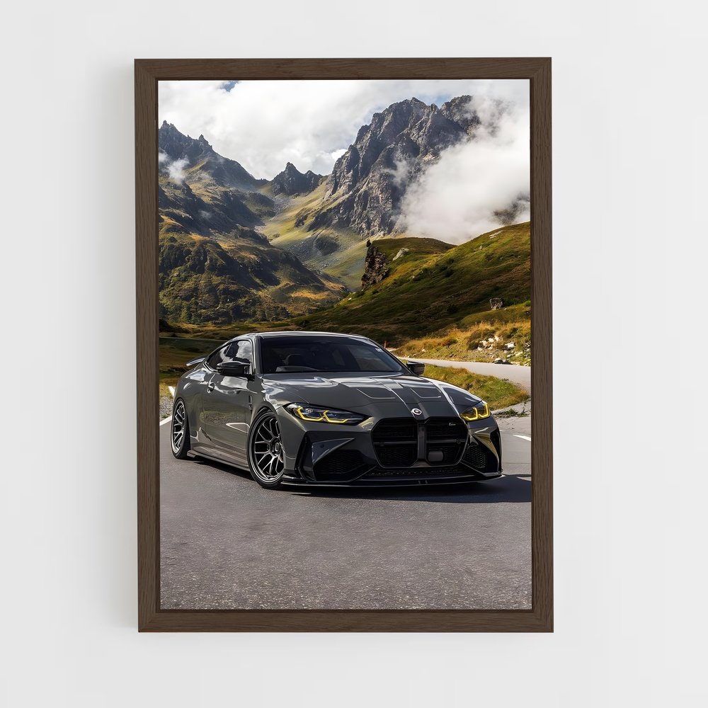 ap-m4 competition-1 cadre Bois foncé