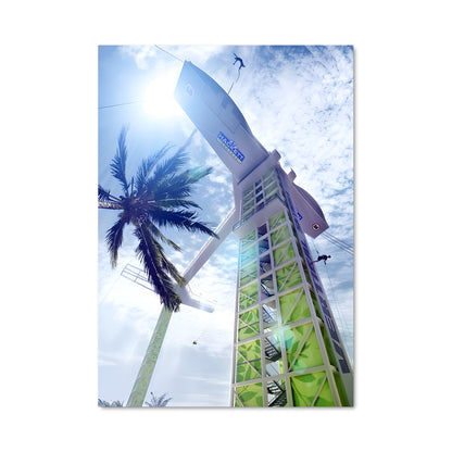 Poster Palm Breeze