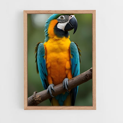 ap-macaw-5 cadre Bois clair