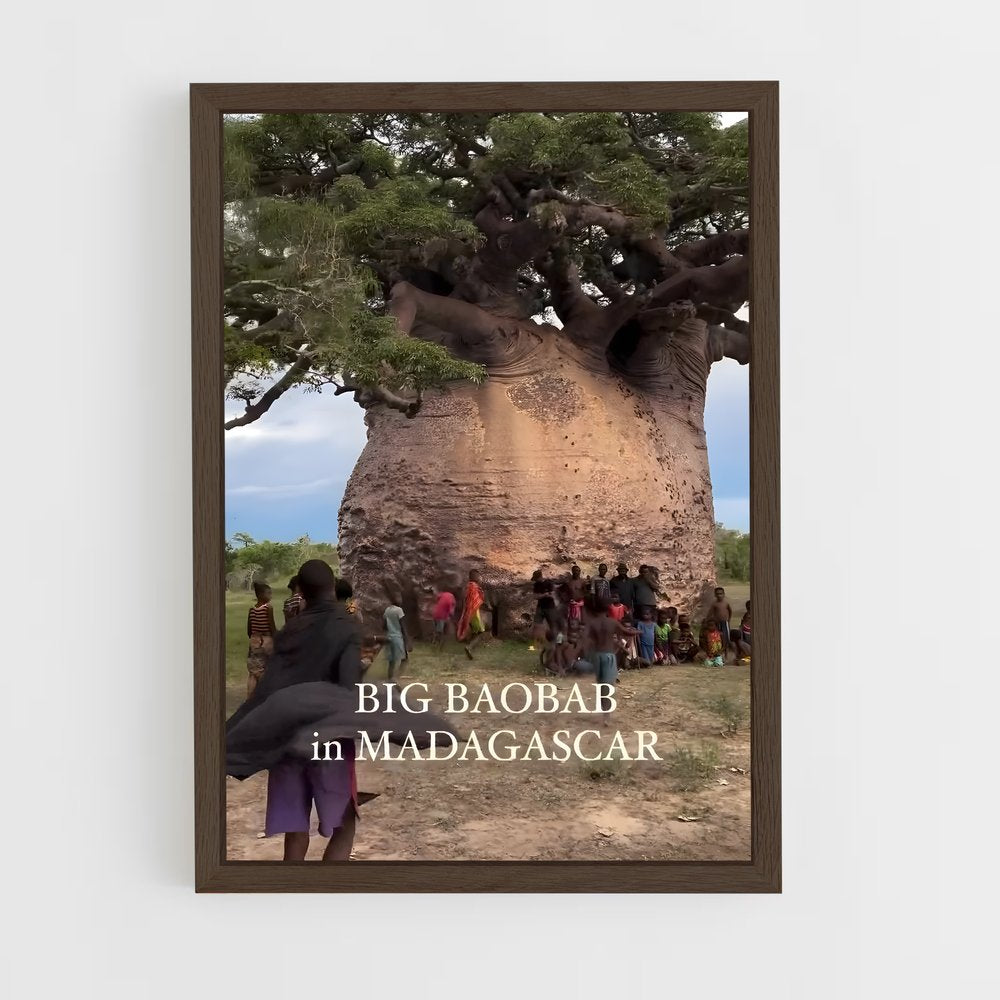 ap-madagascar-12 cadre Bois foncé