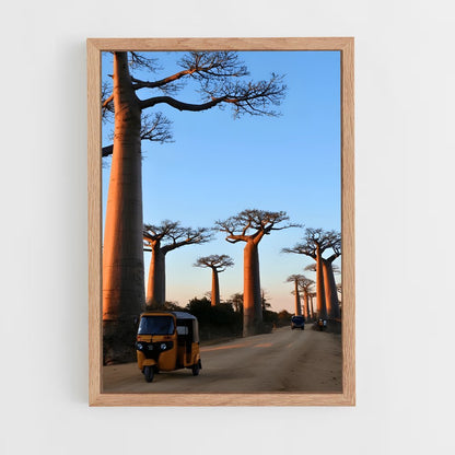 ap-madagascar-2 cadre Bois clair