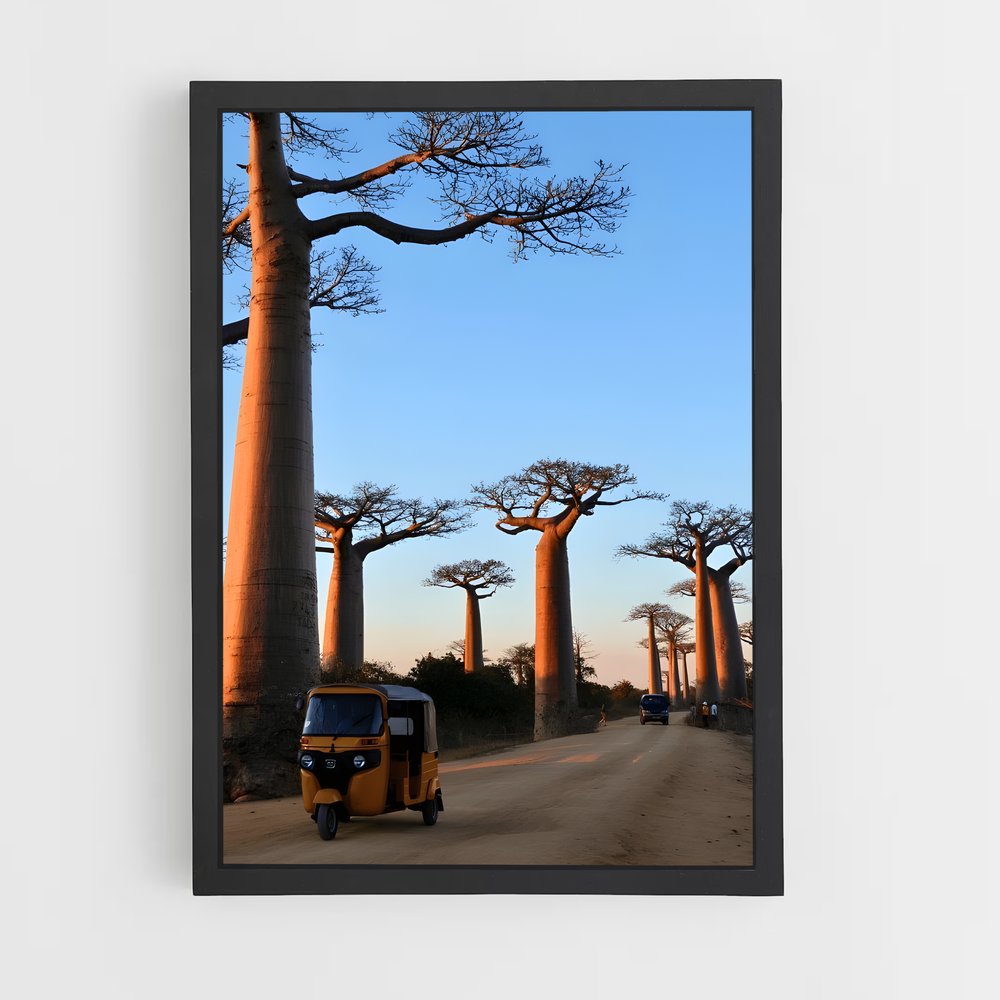 ap-madagascar-2 cadre Noir
