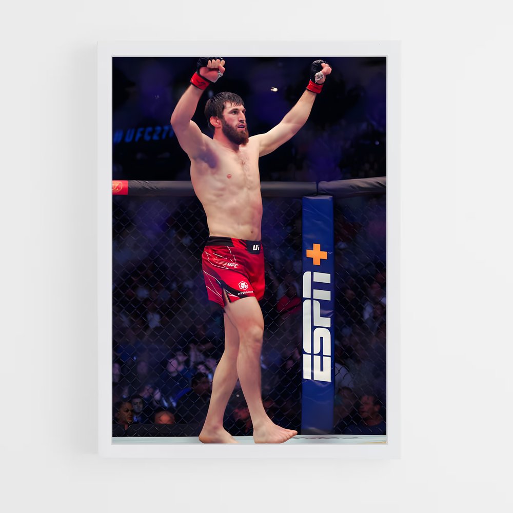 ap-magomed ankalaev-11 cadre Blanc