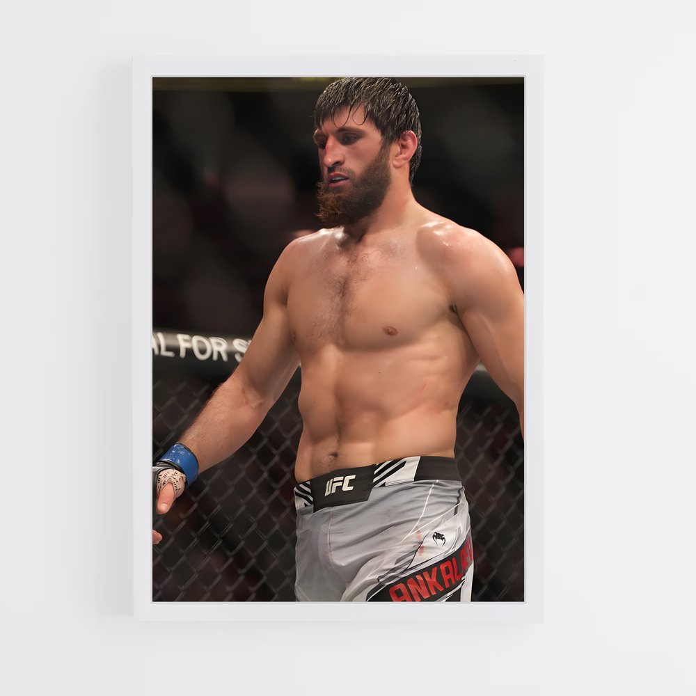 ap-magomed ankalaev-5 cadre Blanc