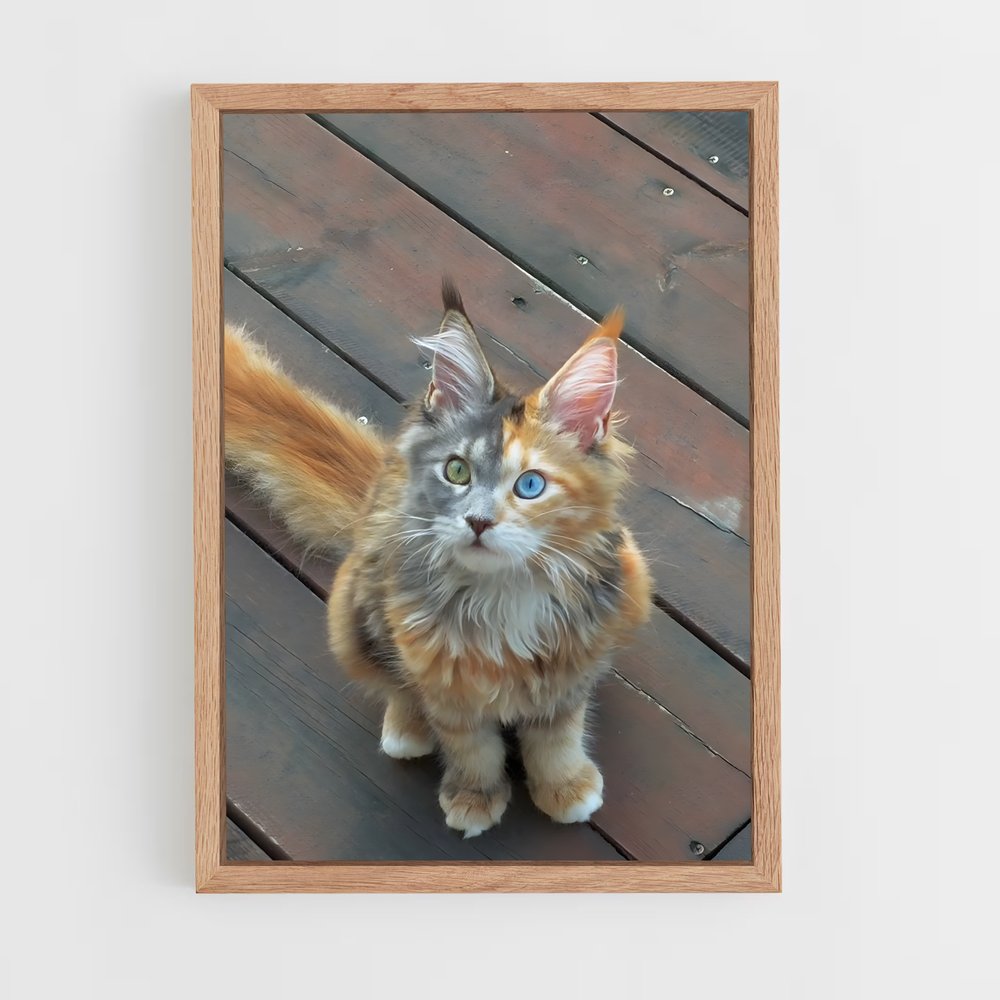 ap-maine coon-4 cadre Bois clair