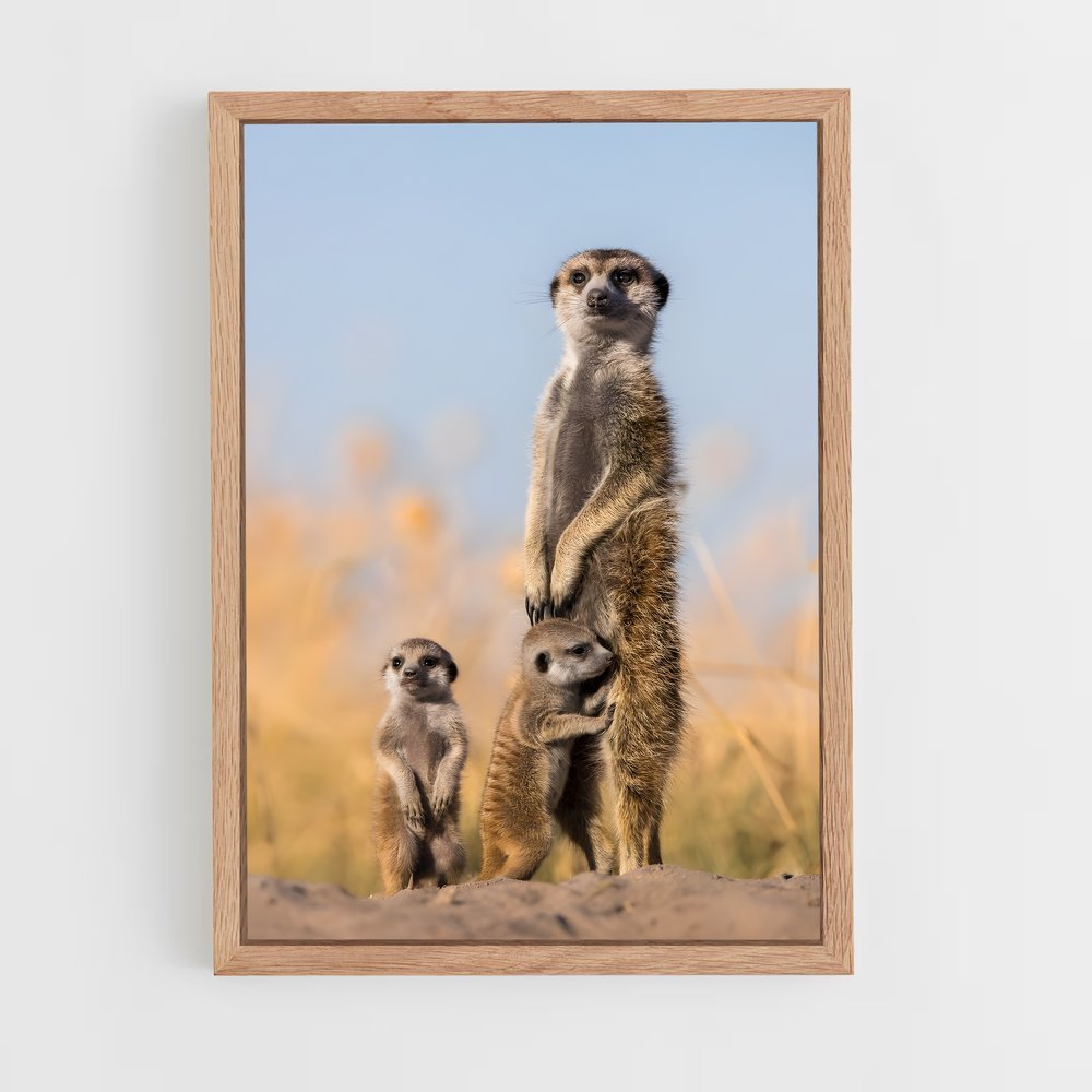ap-makgadikgadi pans-6 cadre Bois clair