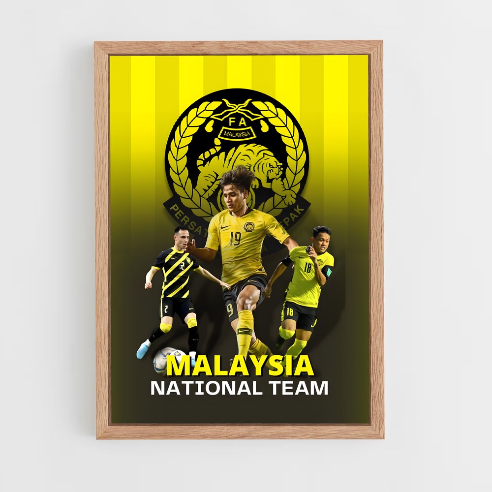ap-malaysia national football team-3 cadre Bois clair