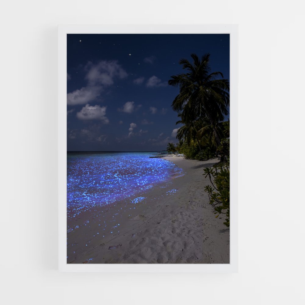 ap-maldives-1 cadre Blanc