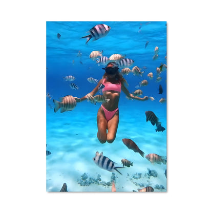 Poster Maldives diving 67991