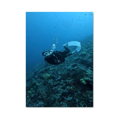 Poster Plongée Maldivienne