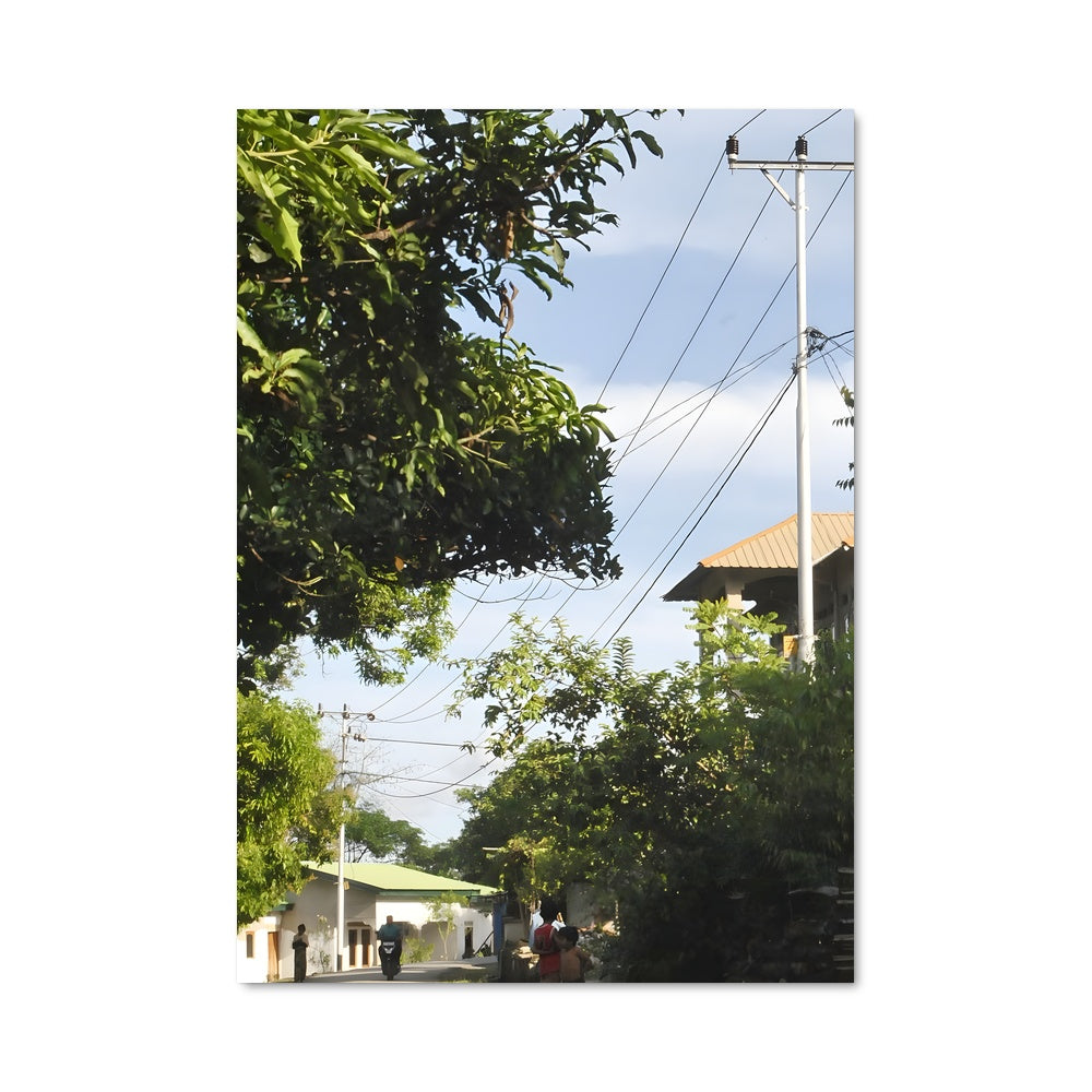 Poster Promenade Arborée