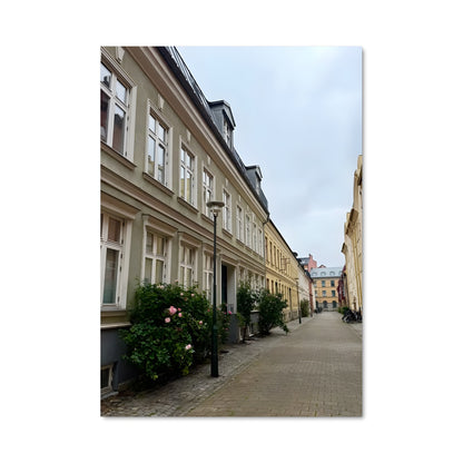 Poster Rue de Malmo