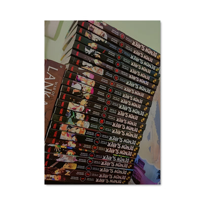 Poster DVD Chronicles
