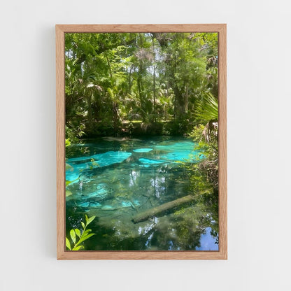 ap-mangrove-10 cadre Bois clair