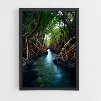ap-mangrove-12 cadre Noir