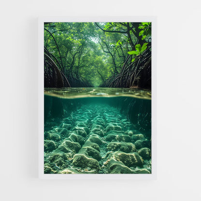ap-mangrove-3 cadre Blanc