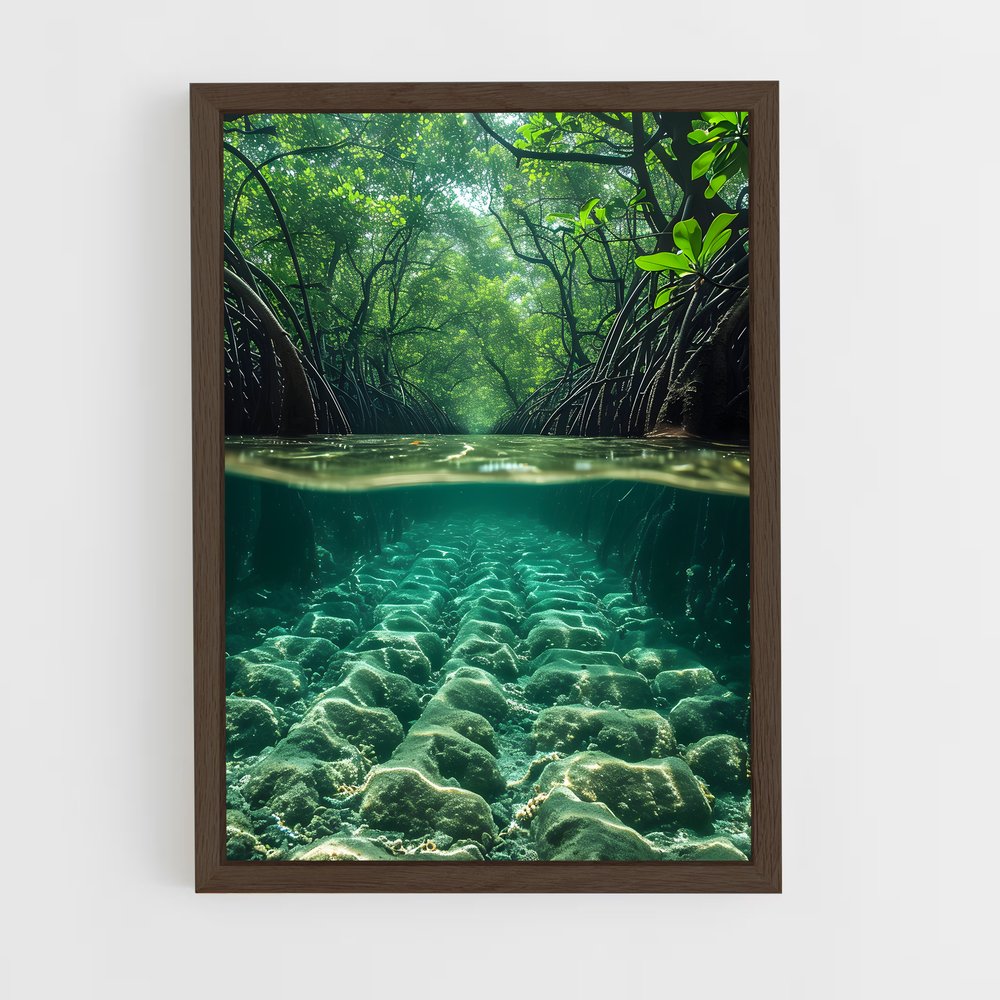 ap-mangrove-3 cadre Bois foncé