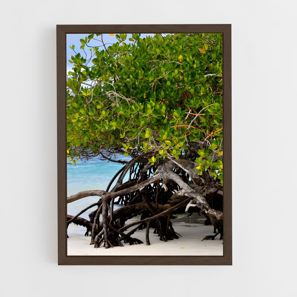 ap-mangrove-9 cadre Bois foncé