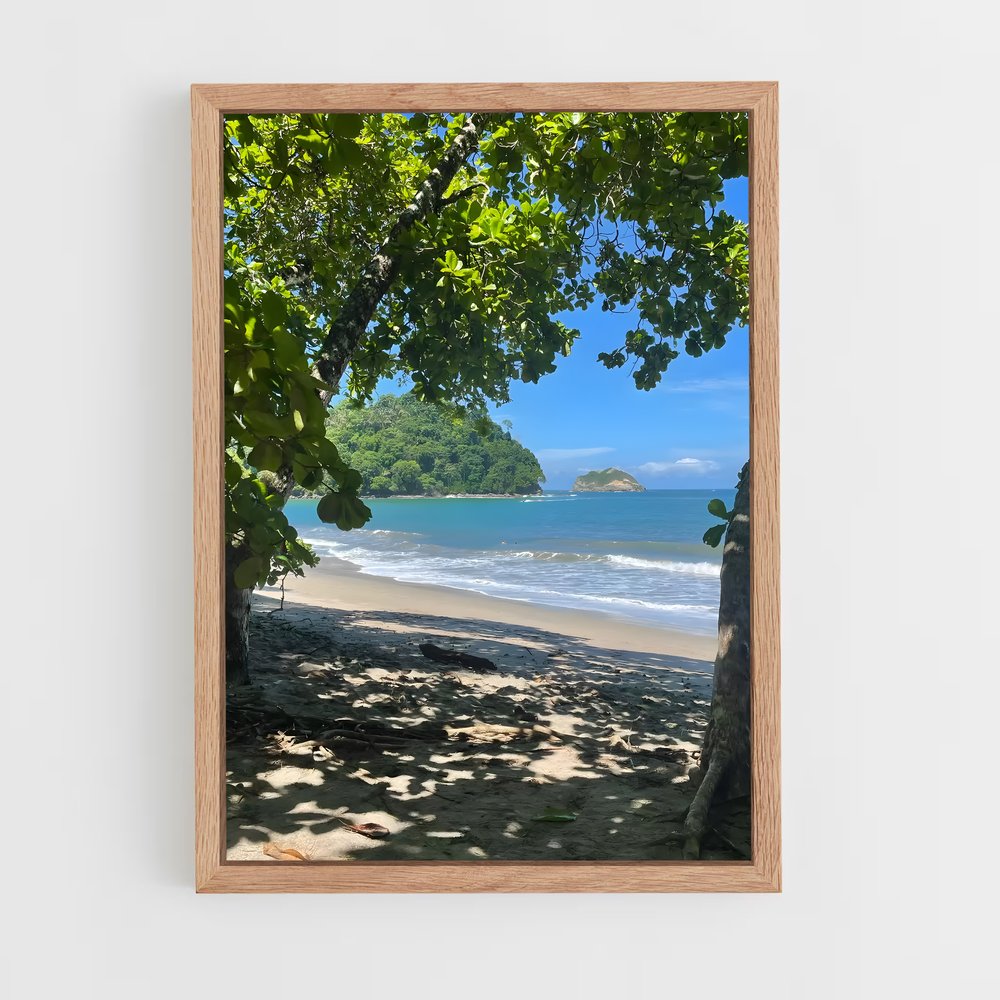 ap-manuel antonio beach-3 cadre Bois clair