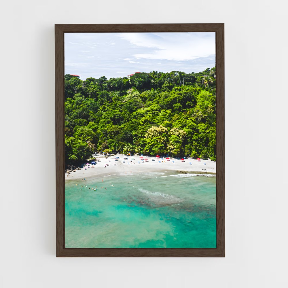 ap-manuel antonio beach-6 cadre Bois foncé