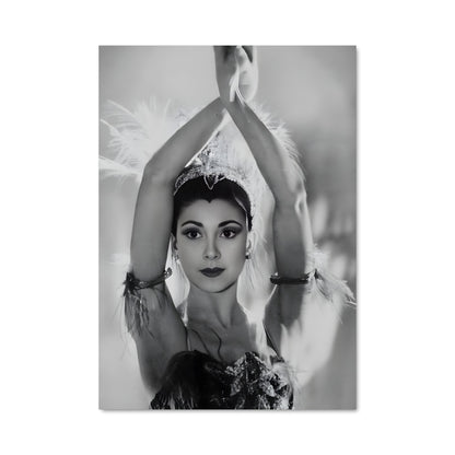 Poster Plume et Élégance