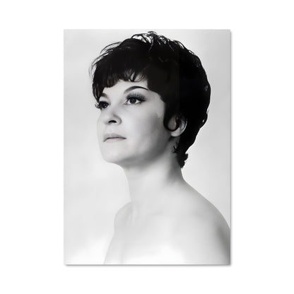 Poster Maria nieves 66112