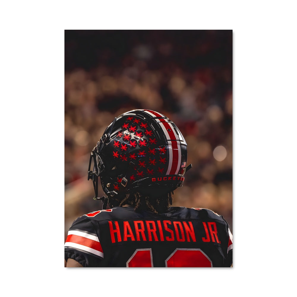 Poster Touchdown Marvin