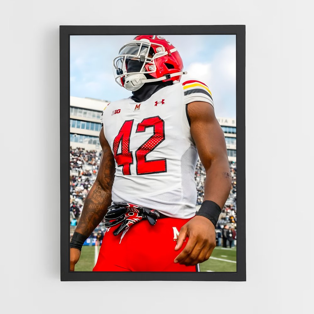 ap-maryland terrapins-3 cadre Noir