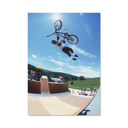 Poster Trickster Mat