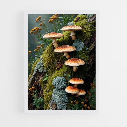 ap-meadow mushroom-3 cadre Blanc