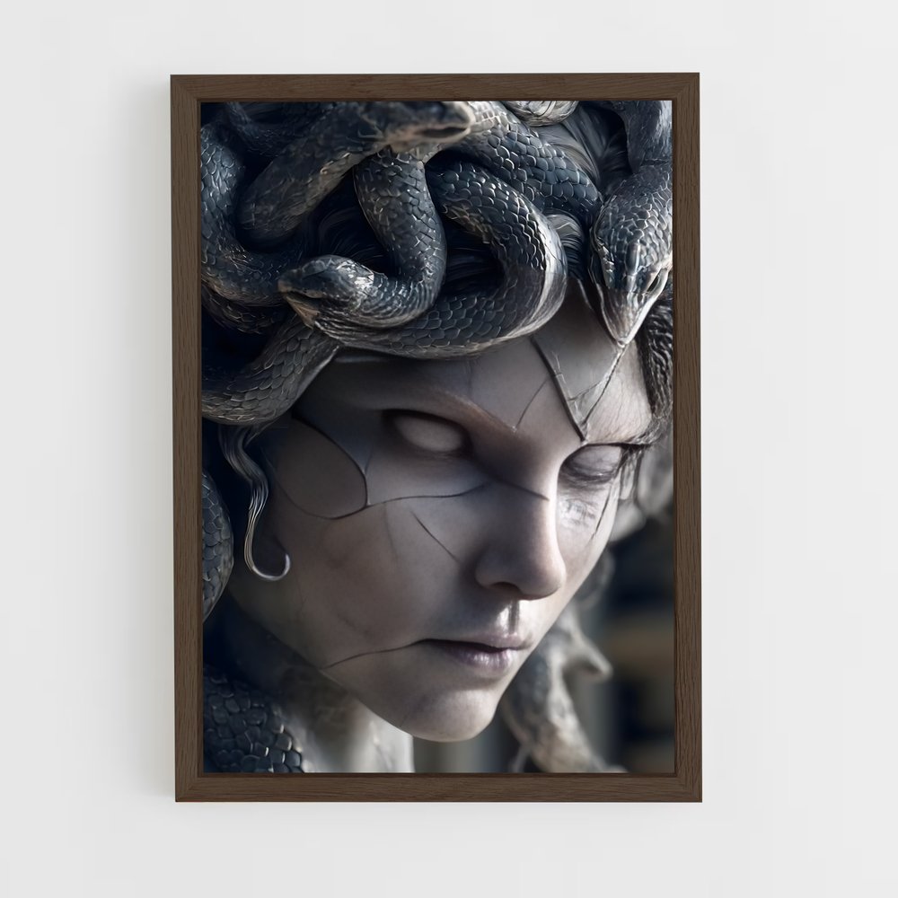 ap-medusa-2 cadre Bois foncé