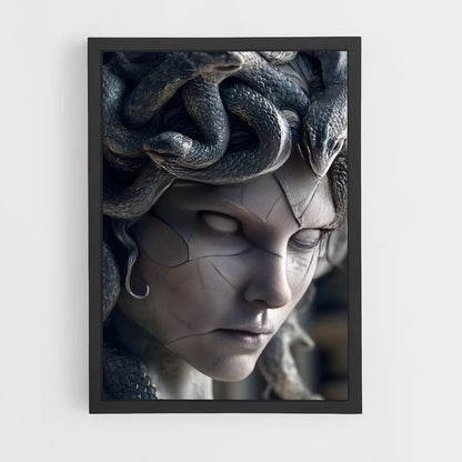 ap-medusa-2 cadre Noir