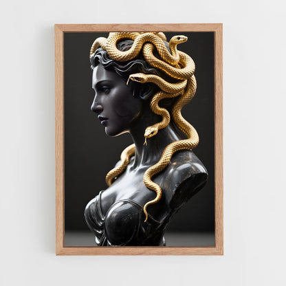 ap-medusa-8 cadre Bois clair