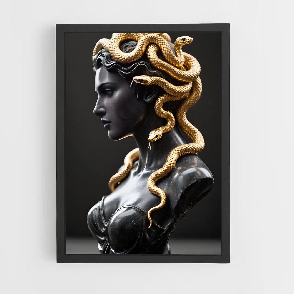 ap-medusa-8 cadre Noir