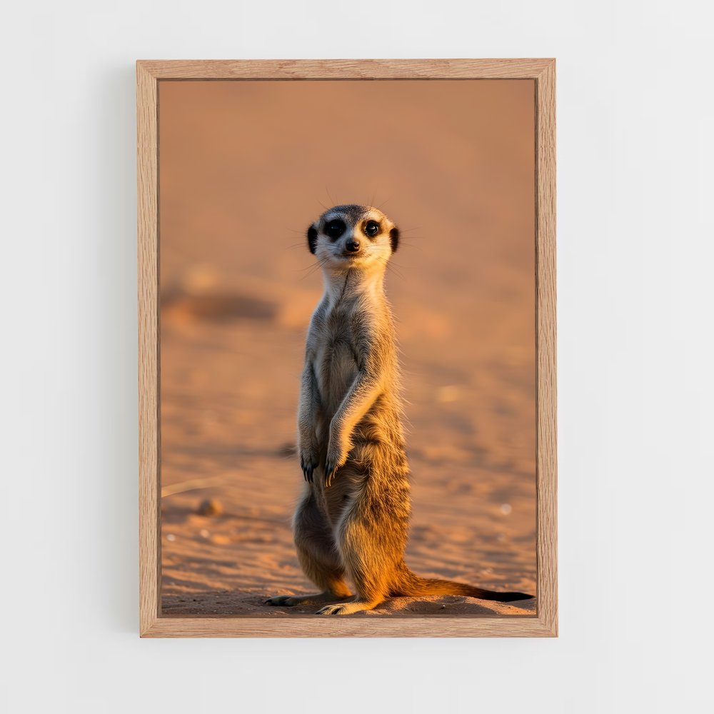 ap-meerkat-1 cadre Bois clair
