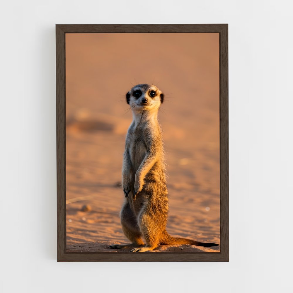 ap-meerkat-1 cadre Bois foncé